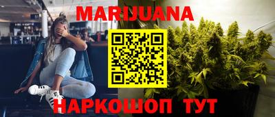 сатива Краснознаменск