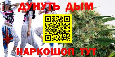 сатива Краснознаменск
