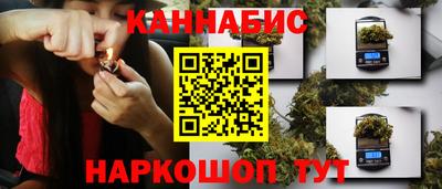сатива Краснознаменск