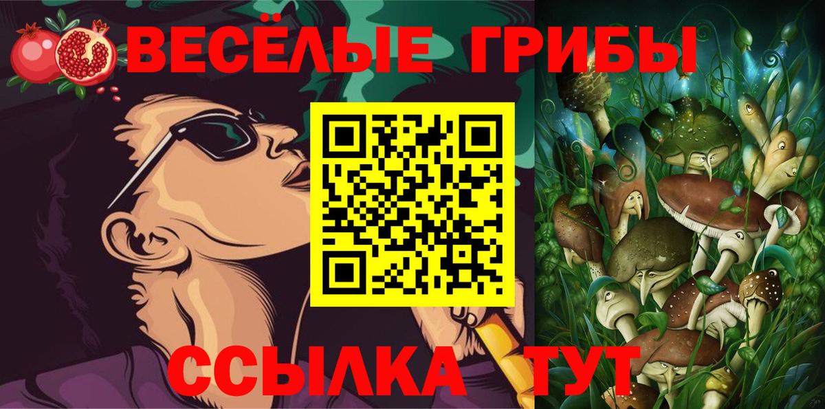Галлюциногенные грибы MAGIC MUSHROOMS  Вход с VPN  Волжск 